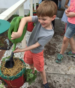 photo of young boy gardening