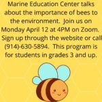 pre-school program importance of bees