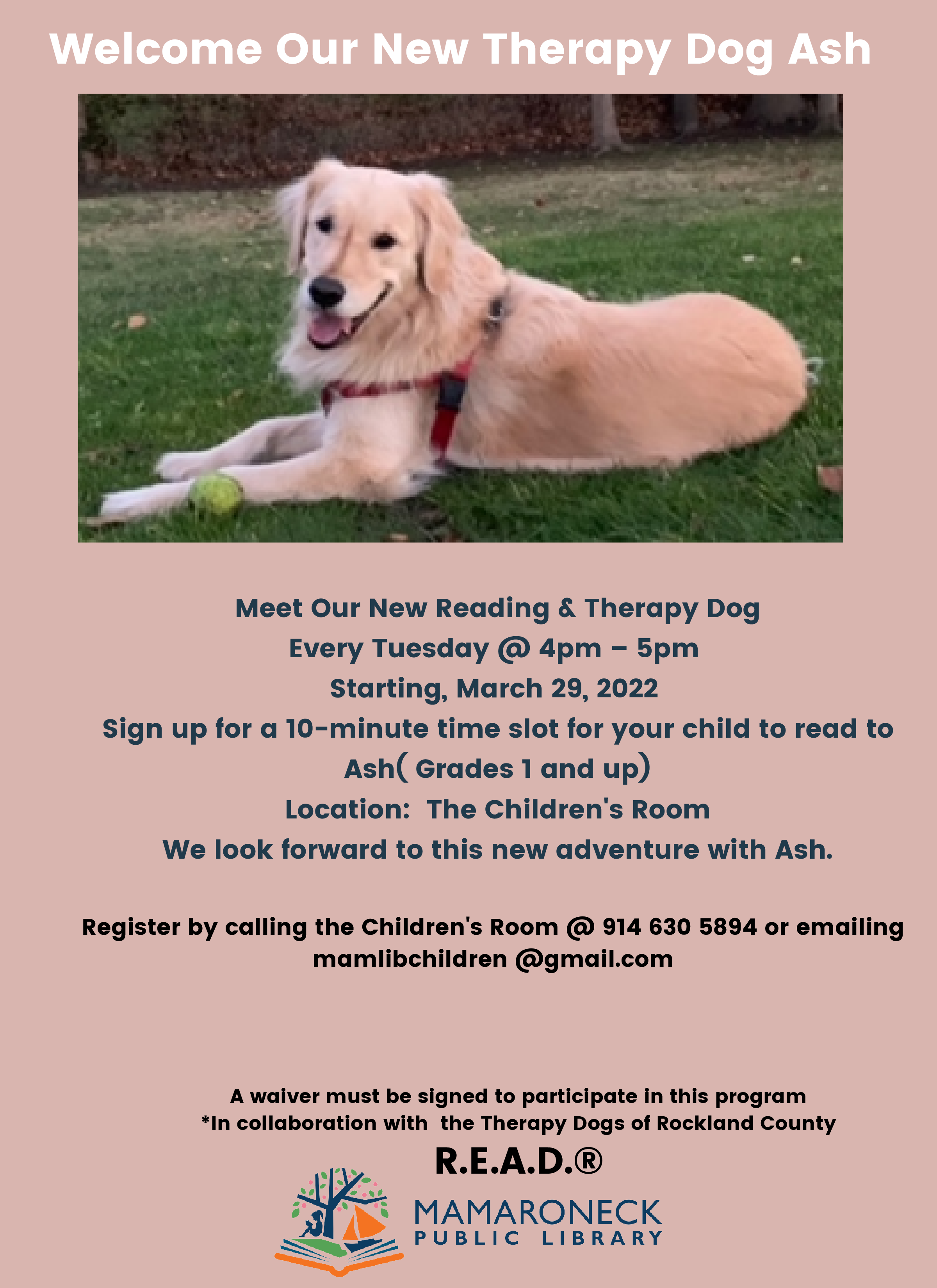 Children can read to our new therapy dog, Ash, beginning March 29