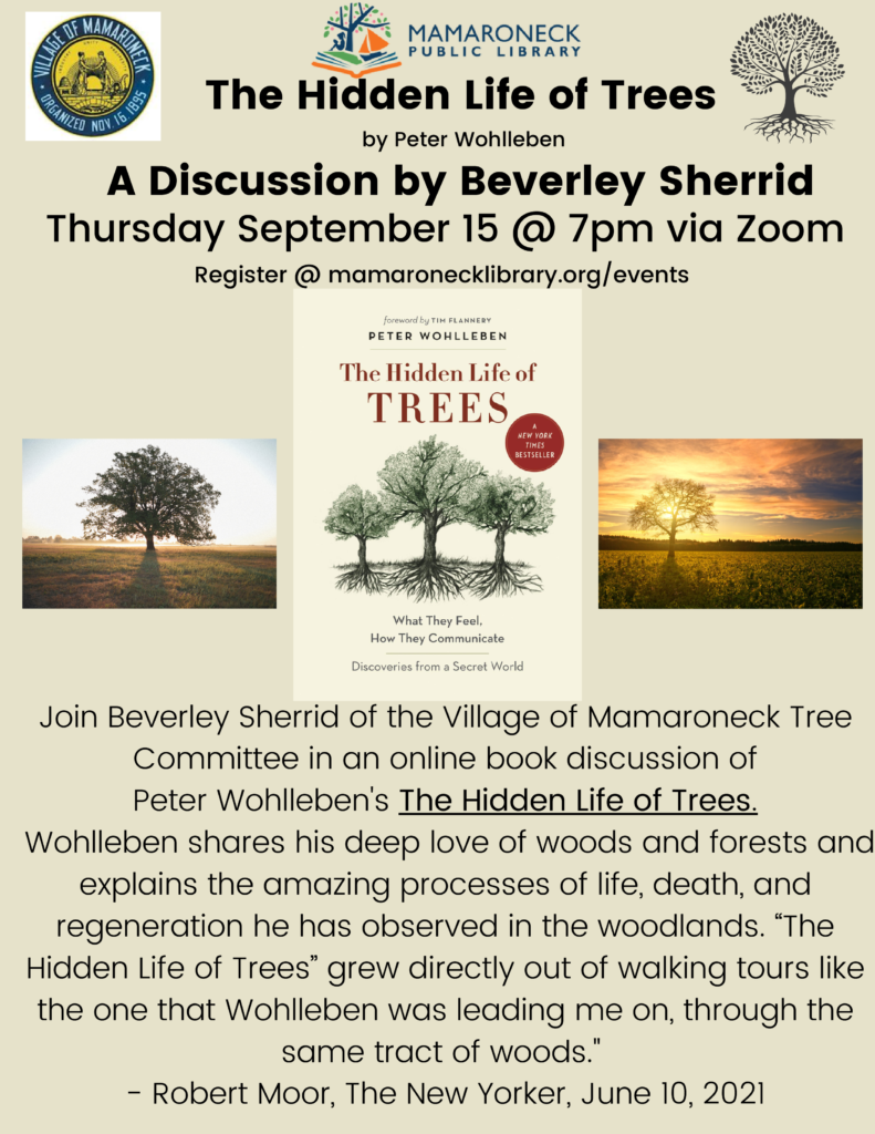 Zoom book discussion Hidden Life of Trees /Sept. 15 @ 7pm