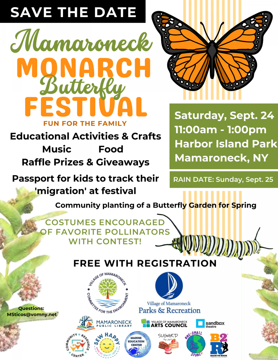 9/24 Monarch Butterfly festival