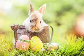 The Library will be closed on Easter Sunday, April 9 2023