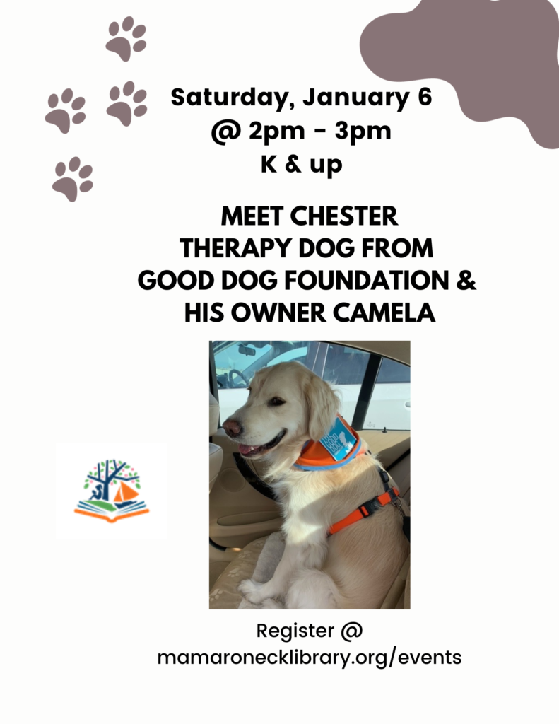 Meet Chester the Therapy Dog! - Mamaroneck Public Library